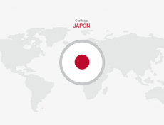 Estudios Japoneses