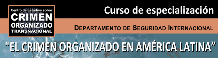 Lee más sobre el artículo Curso de especialización «El Crimen Organizado en América Latina»