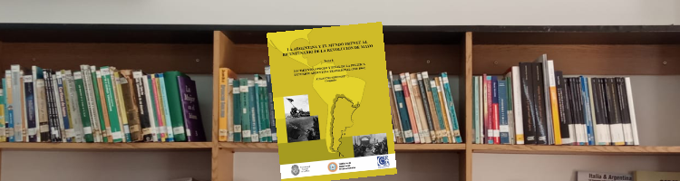 En este momento estás viendo 20 años no es nada: autonomía y globalismo en la política exterior argentina (2002-2022)